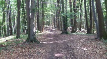  Blick auf die Wanderstrecke 