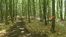  Blick auf die Wanderstrecke 