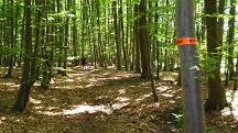  Blick auf die Wanderstrecke 