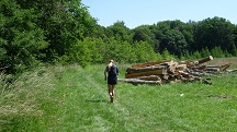  Blick auf die Wanderstrecke 