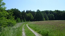  Blick auf die Wanderstrecke 