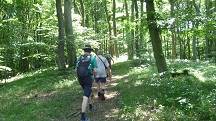  Blick auf die Wanderstrecke 