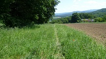  Blick auf die Wanderstrecke 
