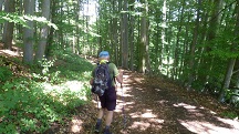  Blick auf die Wanderstrecke 