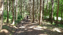  Blick auf die Wanderstrecke 