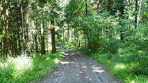  Blick auf die Wanderstrecke 