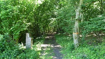  Blick auf die Wanderstrecke 