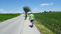  Wanderroute wieder vereint entlang der Bahnstrae 