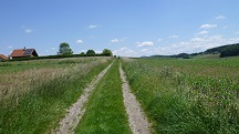  Blick auf die Wanderstrecke 