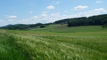  schner Fernblick nach Ollersbach 