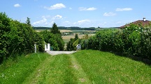  Blick auf die Wanderstrecke in Neukirchstetten 