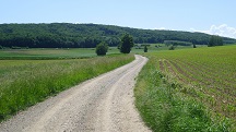  Blick auf die Wanderstrecke 