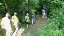  Blick auf die Wanderstrecke beim Weichselbach 