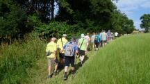  Wanderroute zu der Streusiedlung Schnbuch 