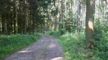  Blick auf die Wanderstrecke 