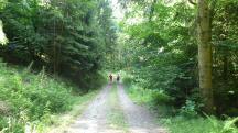 Blick auf die Wanderstrecke 