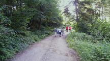  Blick auf die Wanderstrecke - wieder alle Routen vereint 