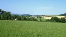  Fernblick zum Weiler Schnbuch 