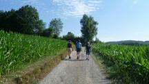  Blick auf die Wanderstrecke 