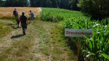  Blick auf die Wanderstrecke bei der 2. Streckenteilung 