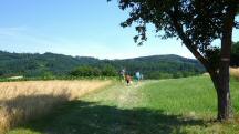  Blick auf die Wanderstrecke 