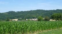  schner Fernblick zum Schloss Groweichselbach 