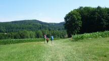  Blick auf die Wanderstrecke 