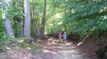  Blick auf die Wanderstrecke 