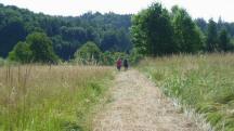  Blick auf die Wanderstrecke in der Region Khberg 