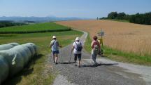  Blick auf die Wanderstrecke 