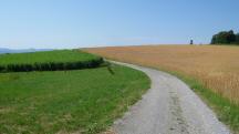  Blick auf die Wanderstrecke 
