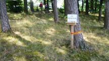  Blick zur 2. SK beim Rastplatz Sngerstein 