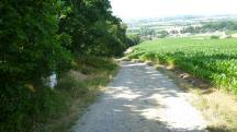  Blick auf die Wanderstrecke 