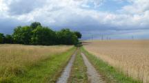  Blick auf die Wanderstrecke 