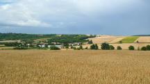  Fernblick nach Dippersdorf 