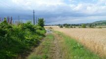 Blick auf die Wanderstrecke entlang der Franz-Josefs-Bahn