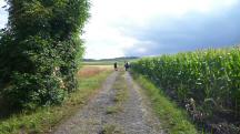  Blick auf die Wanderstrecke 