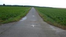  Blick auf die Wanderstrecke 
