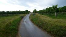  Blick auf die Wanderstrecke 