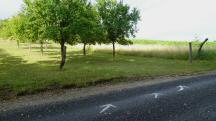 Blick auf die Wanderstrecke zur Brechelmacher's Ranch 