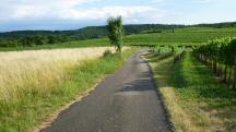  Blick auf die Wanderstrecke 
