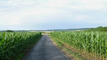  Blick auf die Wanderstrecke 