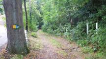  Blick auf die Wanderstrecke 