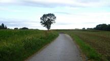  Blick auf die Wanderstrecke 