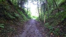  Blick auf die Wanderstrecke 