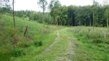  Blick auf die Wanderstrecke 