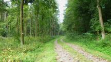  Blick auf die Wanderstrecke 