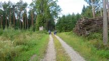  Blick auf die Wanderstrecke 