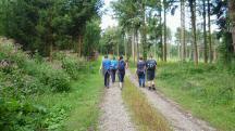 Blick auf die Wanderstrecke 