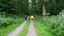  Wanderroute durch den Wald des Oberen Sattel 